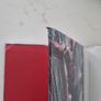 Daredevil by Ed Brubaker & Michael Lark Omnibus Volume 1 Image 3
