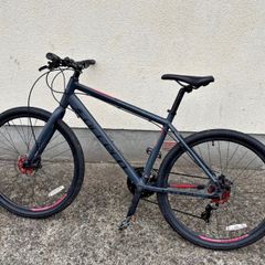 Hybrid Bike