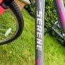 Serene mountain bike Image 2