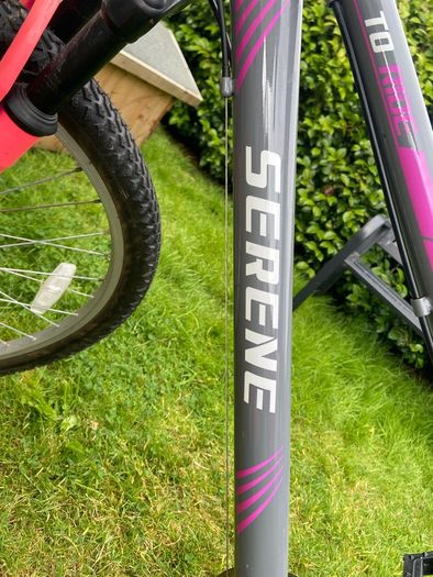 Serene mountain bike