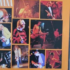 Nirvana - From The Muddy Banks Of The Wishkan.