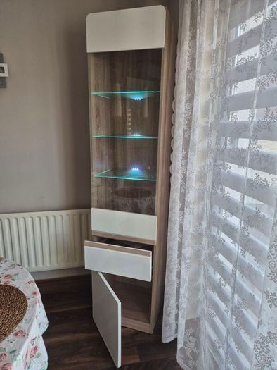 cabinet high gloss with light