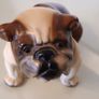 Bulldog Ornament/British Bulldog Image 3