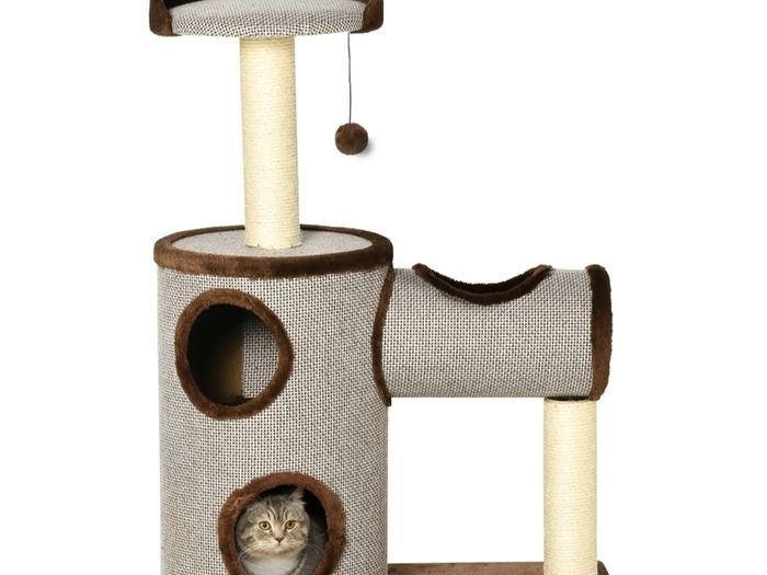 cat activity scratching sleeping post