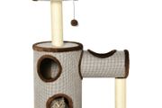 cat activity scratching sleeping post