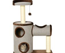 cat activity scratching sleeping post