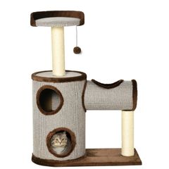 cat activity scratching sleeping post