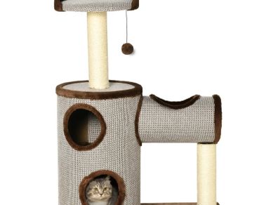 cat activity scratching sleeping post
