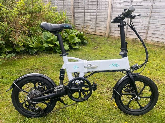 Fiido 2DS Folding Electric Bike