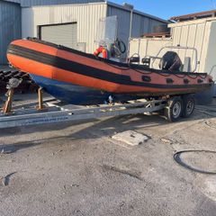 rib