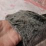 faux chinchilla fur sliders Image 2