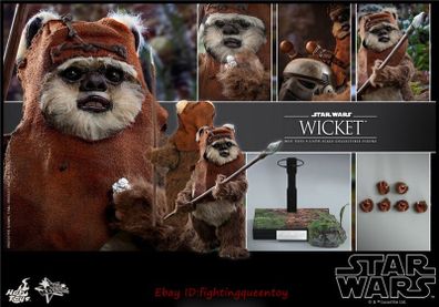Hot Toys MMS550 - Wicket - Star Wars