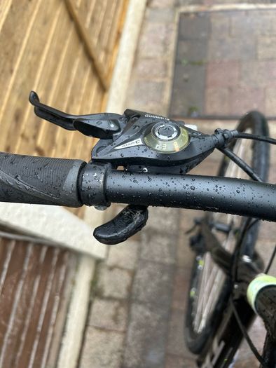 Large Trek Bike