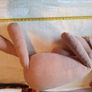 large plush pony Image 4