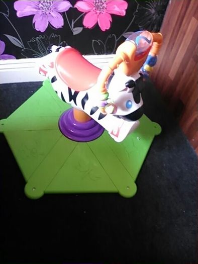 Zebra bouncer