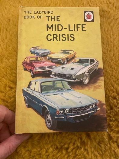 Adult Ladybird Books