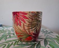 Pot