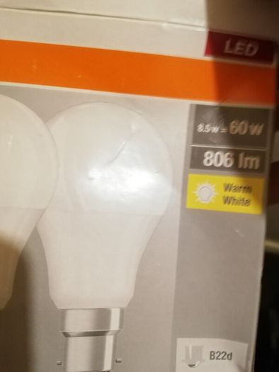 bulbs
