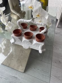 Antique Gardners Transportable Mini Seedling Display