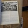 This 1982 first edition copy of "Irish Rugby Scrapbook" by Edmund Van Esbeck. Large volume paperback in good condition.  This 1982 first edition copy of "Irish Rugby Scrapbook" by Edmund Van Esbeck photos for same. Image 9