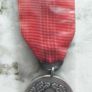 Medal of the 30th anniversary of the Polish Communism Era Image 3