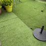 Garden Image 4