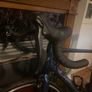 lapierre Image 2