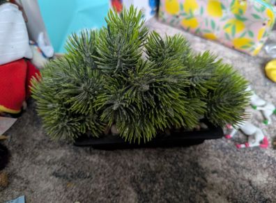 artifical plants