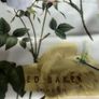 Ted Baker Vinyl Tote Bag Image 2