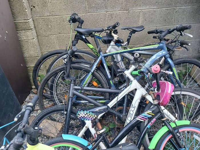 bikes