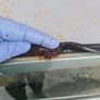 Mercedes W124 Rear Driver Door Image 2