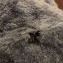 Mens Jacket - Size L Image 3