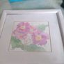 Lovely Watercolor Framed Still Life Small Painting Signed Patricia Hughes. Image 8