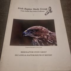 Irish Raptor Study Group. 2012 annual raptor round up report.