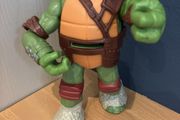 Teenage mutant ninja turtle
