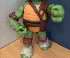 Teenage mutant ninja turtle