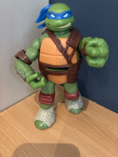 Teenage mutant ninja turtle