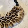 Leopard print faux fur collar / stole Image 2