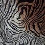 Maxim calf length skirt size UK18 EU46 Postage included Image 2