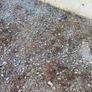 FREE hardcore / gravel stones Image 6