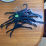 Clothes Hangers x 10 Image 3