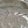 Vintage Marquis Waterford (Gothic print) Crystal Nautical Shell Oval Fan Vase 6 INCHES Image 7
