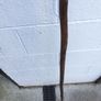 walking stick / cane /shepherd's cane Image 8