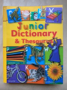 Junior Dictionary & Thesaurus 3D Front Page