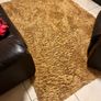 Golden Rug Image 2