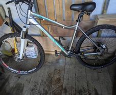 Giant mountain bike