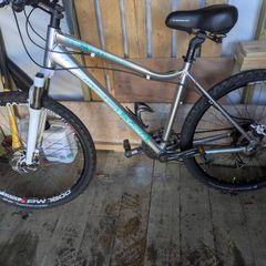 Giant mountain bike
