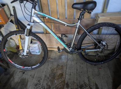 Giant mountain bike