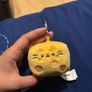 Pusheen surprise box keychain food Image 6