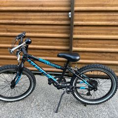 Childs mountain bike